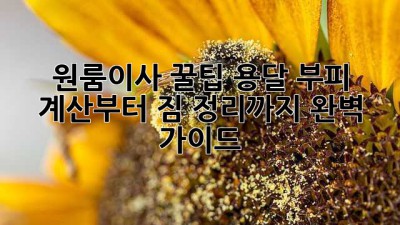 원룸이사 꿀팁🍯 용달 부피 계산부터 짐 정리까지 완벽 가이드!