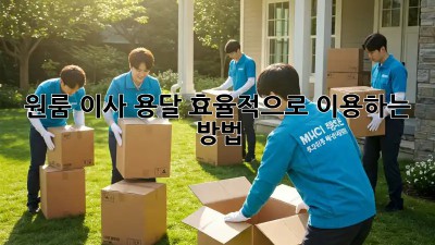 원룸 이사, 용달 효율적으로 이용하는 방법