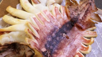 놓치면 후회! 반건조한치 300g 솔직 후기 & 꿀팁 대방출🦑