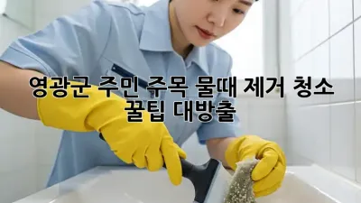 ✨ 영광군 주민 주목! 물때 제거 청소 꿀팁 대방출 🛁
