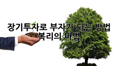 장기투자로 부자가 되는 방법: 복리의 마법